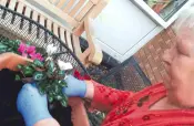 Briar Close House Care Home
